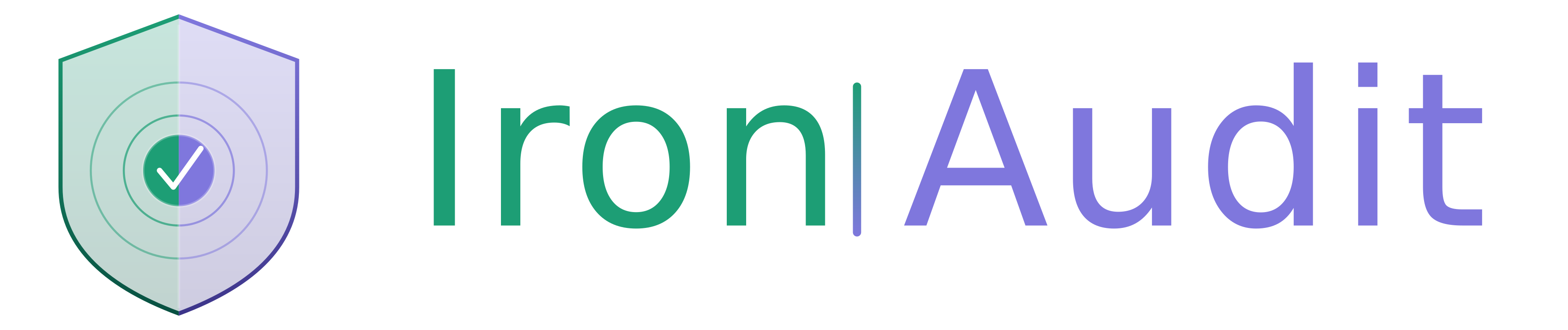 IronAudit